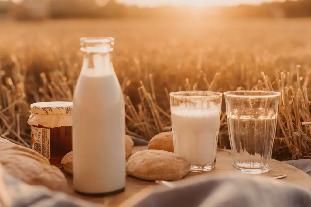 The History Of Milk