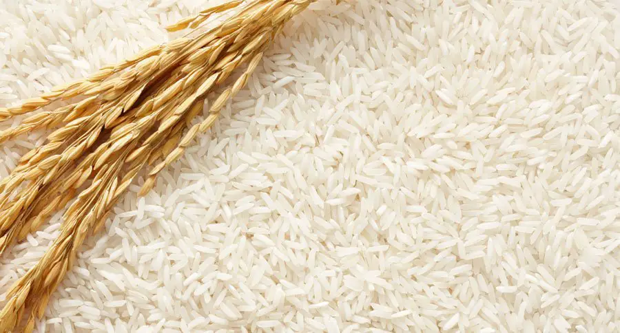 The History Of Rice, The World’s Most Important Crop